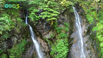 ПЕРЕСТАНЬТЕ Винить Свою Слабость! | Брат Крис