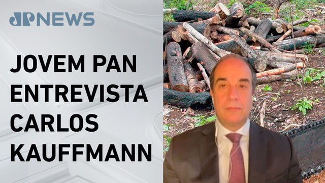 Aumento de pena para crimes ambientais vai funcionar? Advogado criminalista comenta