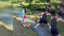 [dog funny
