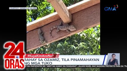 Bahay sa Ozamiz, tila pinamahayan ng mga tuko | 24 Oras