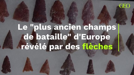 Des pointes de flèche de l'âge du bronze lèvent le voile sur le "plus ancien champs de bataille connu d'Europe"