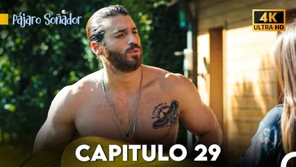 Pájaro Soñador Capítulo 29 (Doblado En Español 4K)