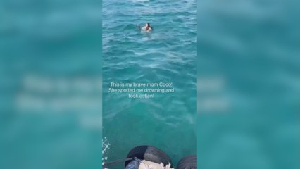 Ve una bolita de pelo en flotando en el mar, se sumerge y lo que encuentra arruina sus vacaciones