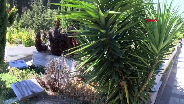 Münevver Karabulut katleden Cem Garipoğlu’nun mezarının son hali görüntülendi