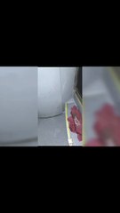 "Encuentran cachorros en precarias condiciones dentro de jaular en un bus interdepartamental"