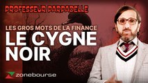 Les gros mots de la finance : « Le cygne noir »