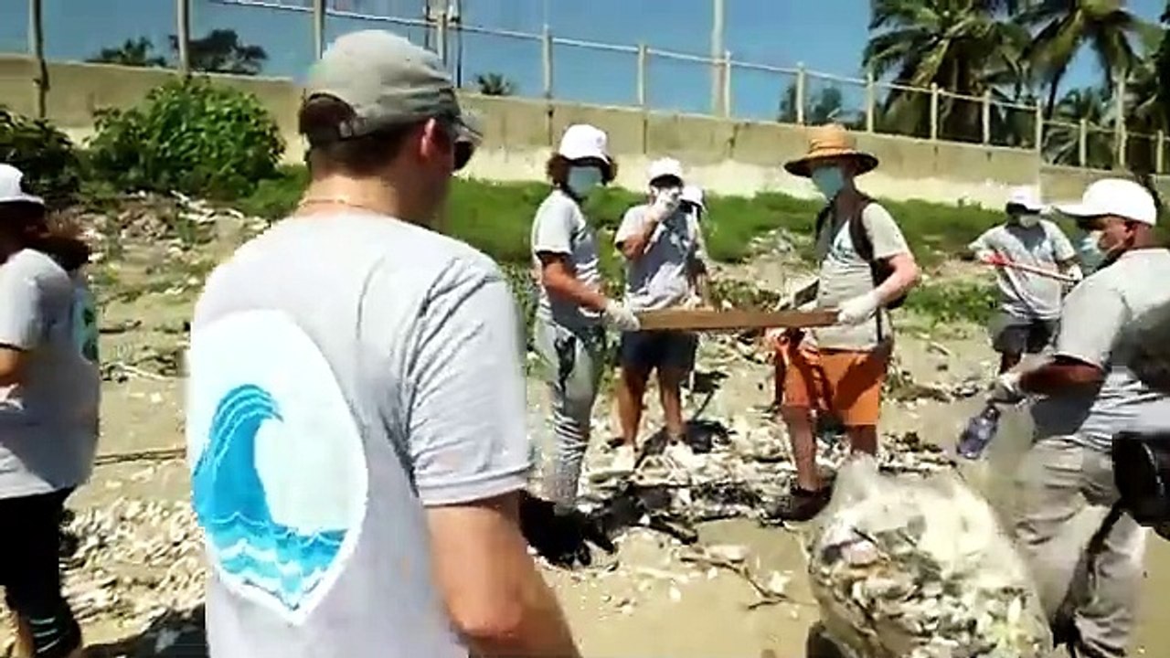 DIRTI BEACH CLINING | MR BEAST | TRENDING | BEST | VIRAL VIDEO | MR FEAST