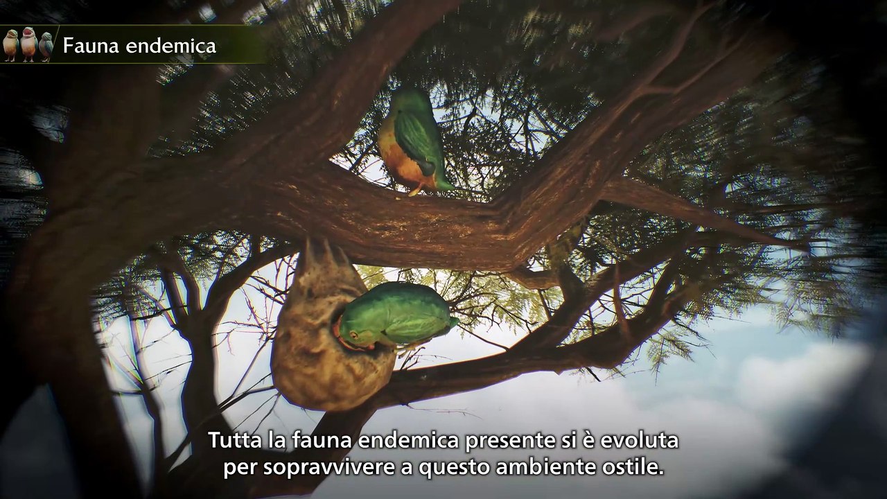 Monster Hunter Wilds - la guida