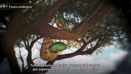 Monster Hunter Wilds - la guida