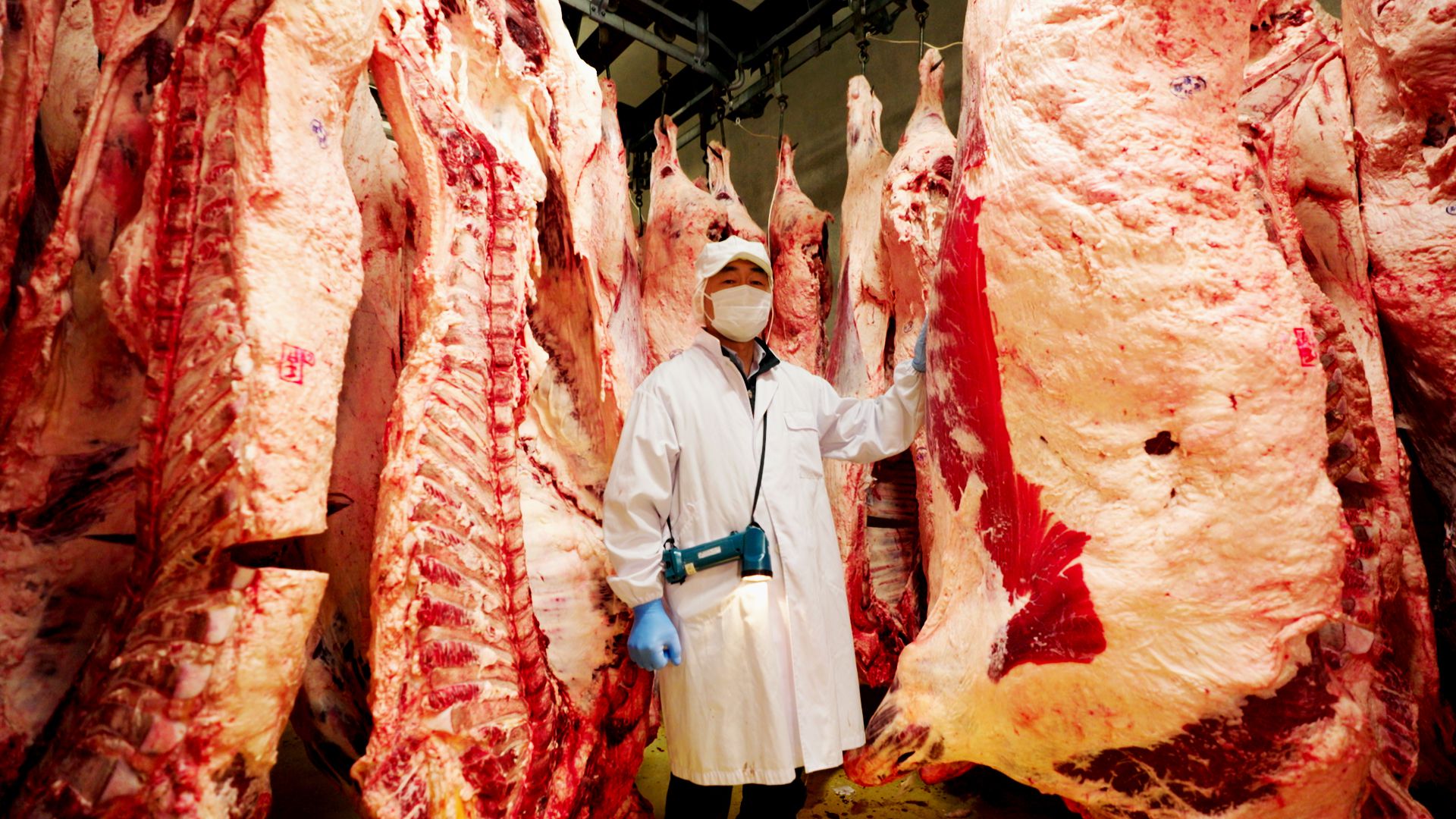 Wagyu