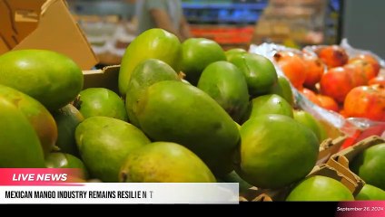 The Supply Chain Report News Roundup - 26th September 2024