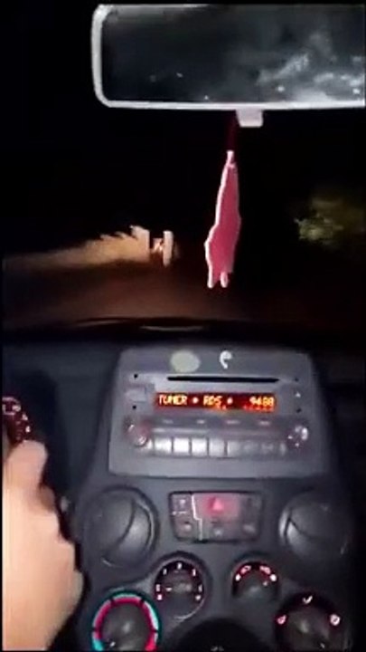 Ecco che cosa NON bisogna fare quando si incontra un orso