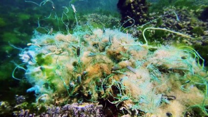 Where ocean plastic actually comes from — and how to stop it