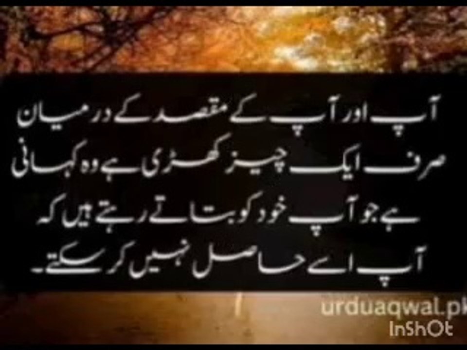 Motivational quotes in Urdu#inspirational quotes#motivational#best lesson