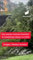 [GUADELOUPE] L'archipel sous les eaux de l'onde tropicale 44