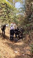 Irmã reconhece corpo de homem vítima de homicídio no Planalto Verde