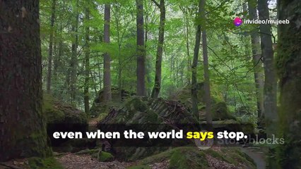 Motivational Story The Elephant and the Rope