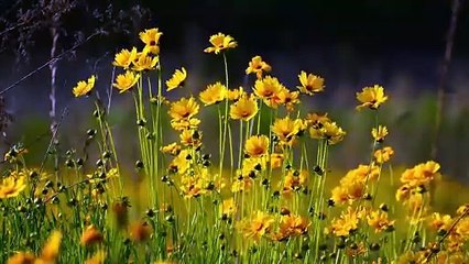 Energizing & Motivational Music for Your Success