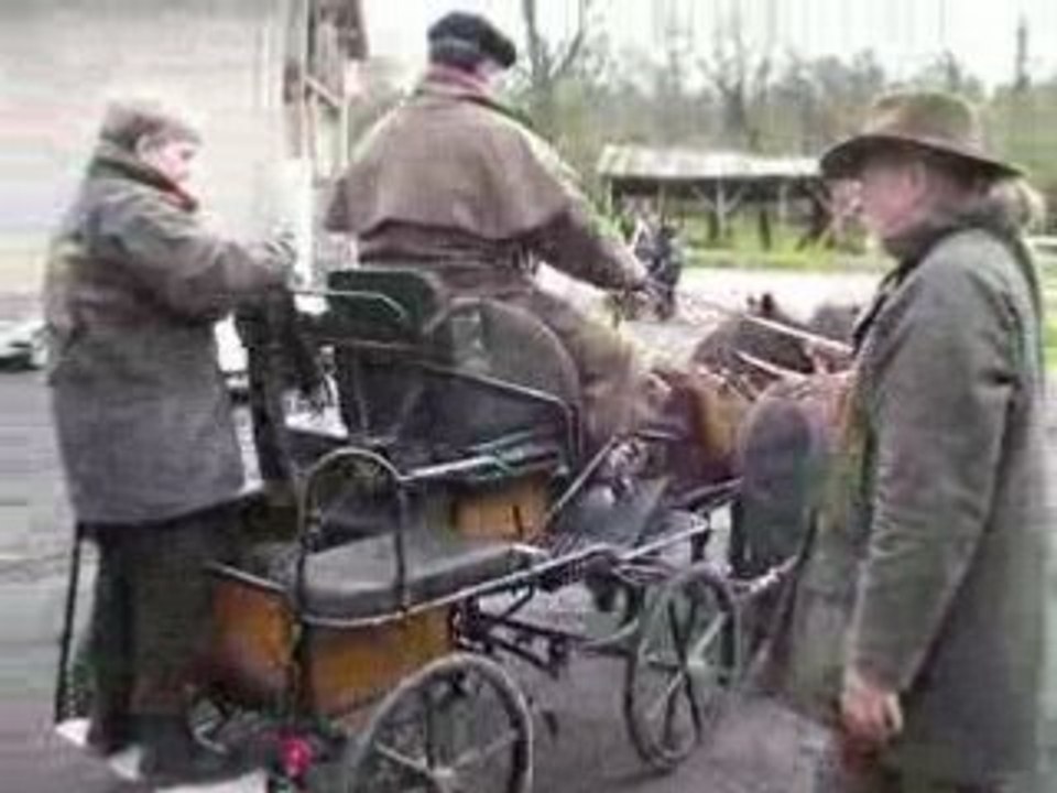 Balade attelée à Vienne la Ville