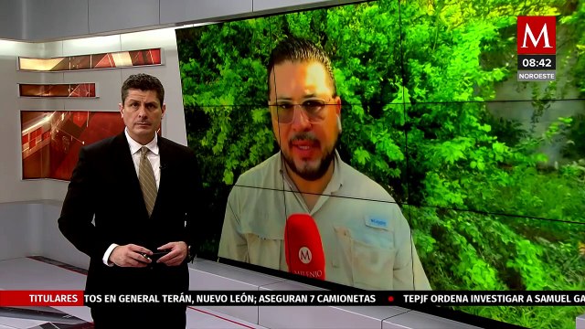 Reportan enfrentamiento armado en Concordia, Sinaloa; deja 7 personas sin vida