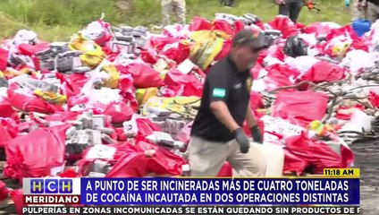 Incineran 4 toneladas de cocaína producto de dos incautaciones