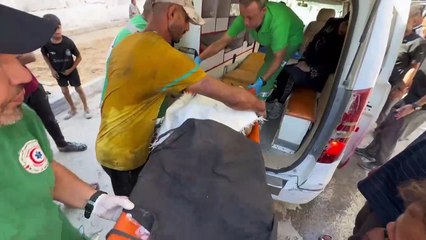 Presidente palestino pide ante la ONU que cese la venta de armas a Israel