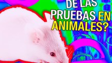 ¿El fin de las pruebas en animales?