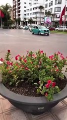 مدينة مكناس المغربية