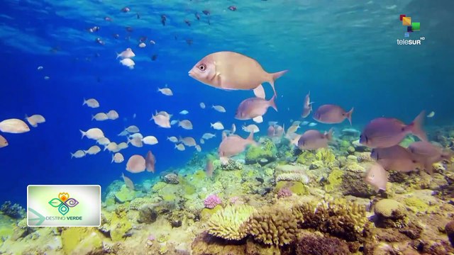 Nicaragua: Uno de los países más grande y atractivo de Centroamérica