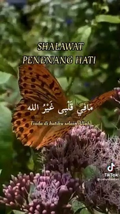 shollawat nabi mohhammat
