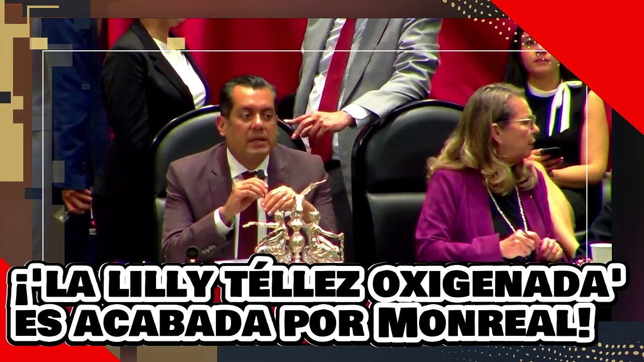 VE! ¡Lilly Téllez Oxigenada es hecha añicos por Monreal por atacar la reforma a la guardia nacional!