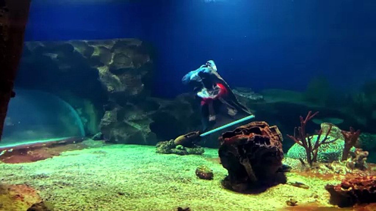 Captain Jack's Sea Shanty The Ultimate Pirate Song (2024) music