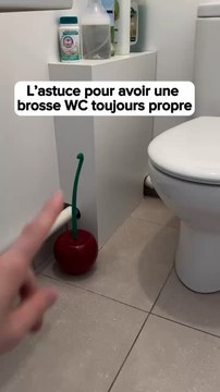 ️ La brosse cerise est à retrouver en LlEN dans ma Bl0 -PUBLlClTE / L’astuce pour conserver la brosse WC toujoue propre