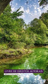 ✅Sons da Natureza relaxar e meditar- Música para descansar #Shorts