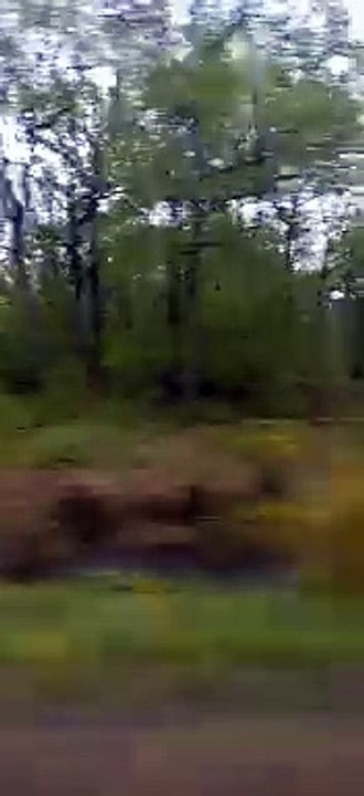 The TER Paris Chartres Line  #france  #paris #chartres #train  (27)