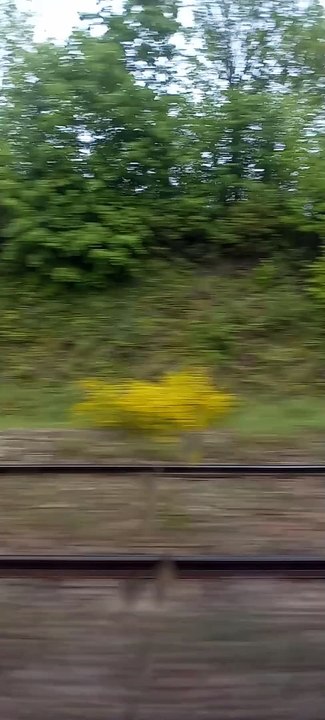 The TER Paris Chartres Line  #france  #paris #chartres #train  (36)