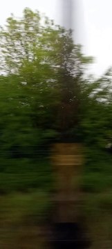 The TER Paris Chartres Line #france #paris #chartres #train (31)