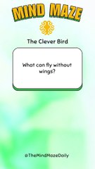 The Mind Maze Riddle - The Clever Bird