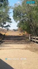 Hillas Creek Bridge aka Little Harbour Bridge