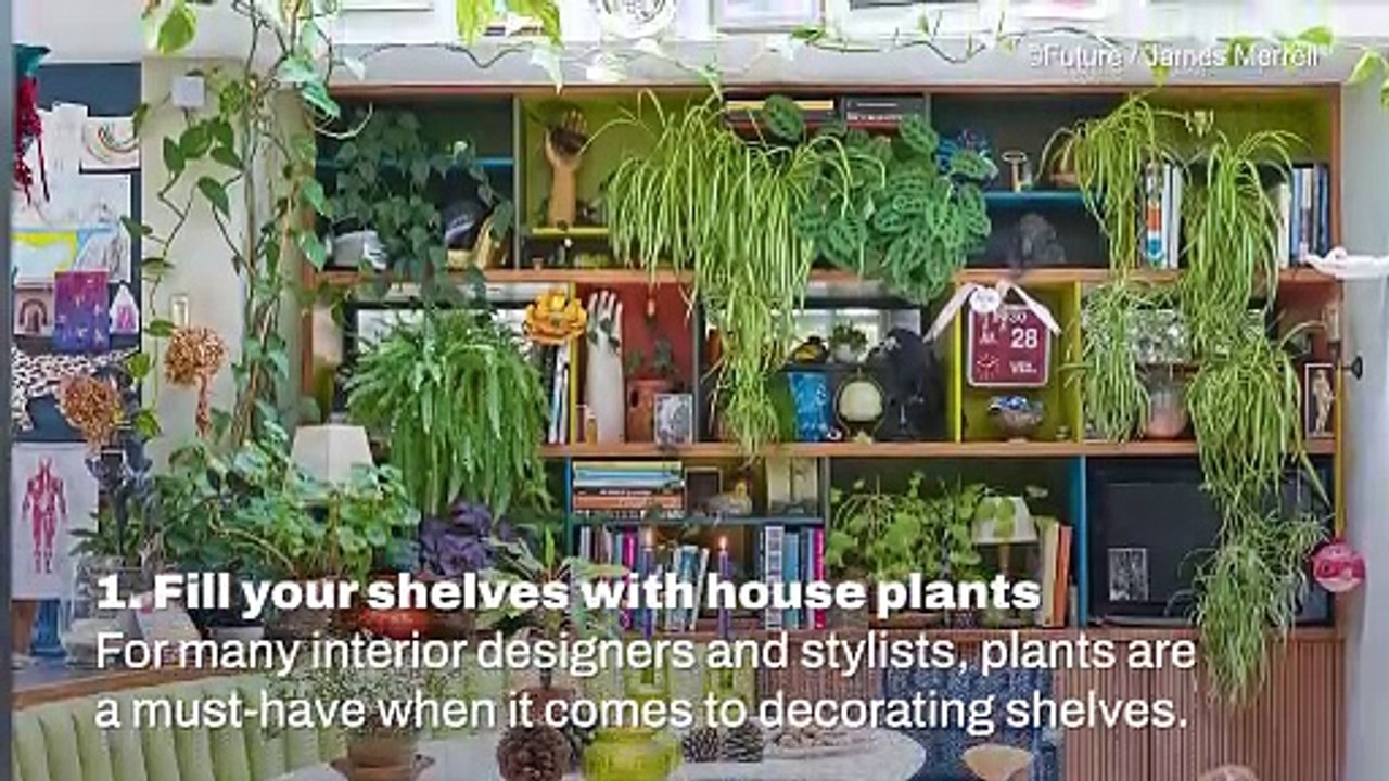 Decorating With Plants