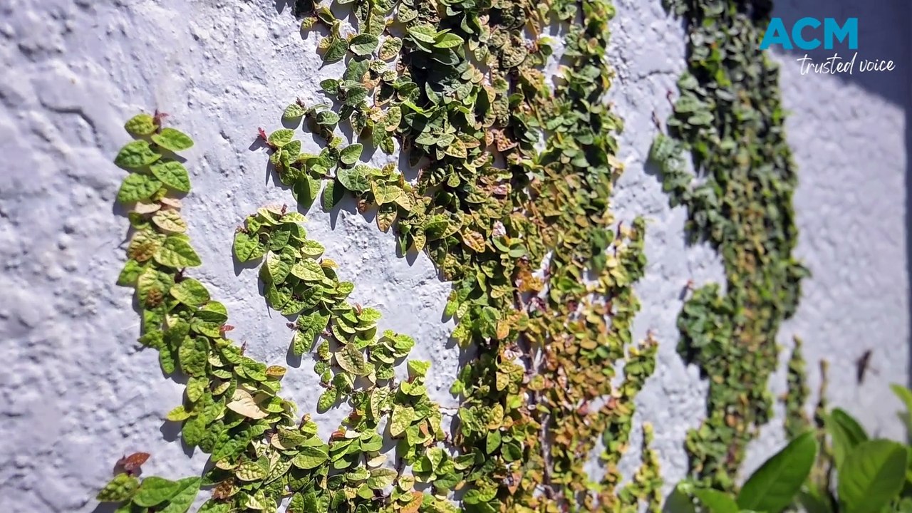 Tips for achieving top dollar for your property video Dailymotion