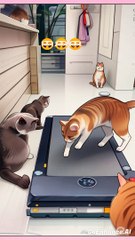 Feline Fitness: A Cat's Gem of a Running Machine!