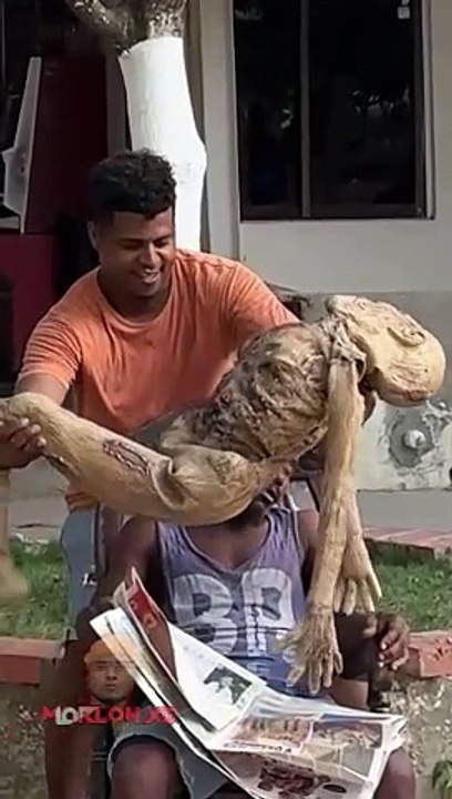 El --‍♂️ dormilón New part2 _viral _funny _travieso _comedy(720P_60FPS)