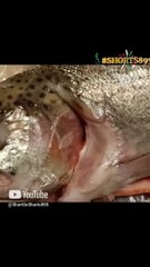 Whole Trout fish Baked with Masala  Onion  & Tomato  Curry  naan #dinner #shorts895