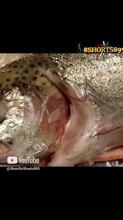 Whole Trout fish Baked with Masala  Onion  & Tomato  Curry  naan #dinner #shorts895