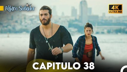 Pájaro Soñador Capítulo 38 (Doblado En Español 4K)