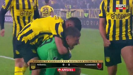 festejo Peñarol Flamengo Copa Libertadores.mp4