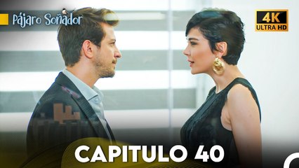Pájaro Soñador Capítulo 40 (Doblado En Español 4K)