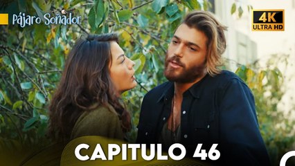 Pájaro Soñador Capítulo 46 en Español 4K - ¡No te lo pierdas! 🦜