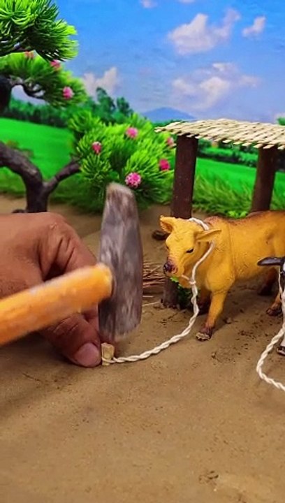 Mini Animal Farm